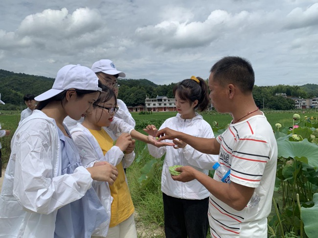 隊員參觀蓮子生產(chǎn)基地。福建船政交通職業(yè)學(xué)院供圖